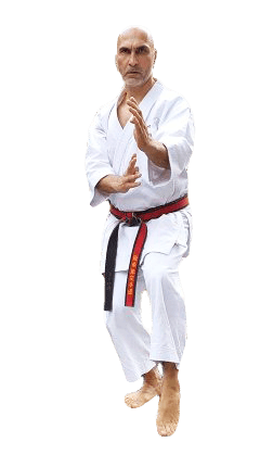 Houston Samurai Karate Dojo Owner